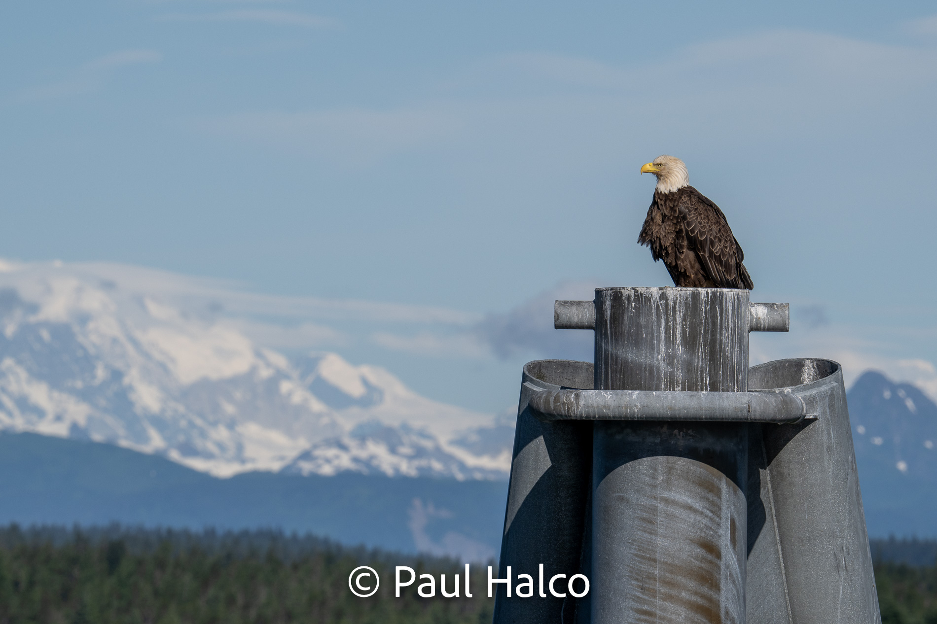 Paul Halco - General Alaska-14